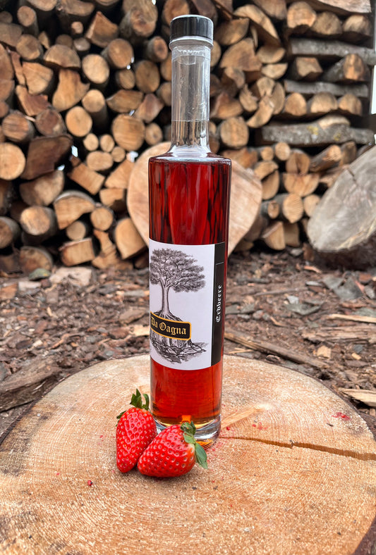 Da Oagna Erdbeer-Likör mit frischen Erdbeeren auf Holztisch, fruchtig-rot serviert im Glas