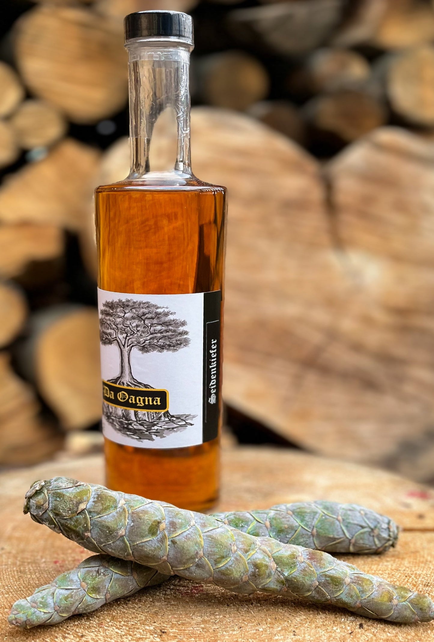 Flasche Da Oagna Seidenkiefer-Likör vor natürlichem Hintergrund mit Zapfen und Nadeln