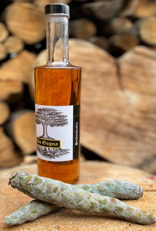 Flasche Da Oagna Seidenkiefer-Likör vor natürlichem Hintergrund mit Zapfen und Nadeln